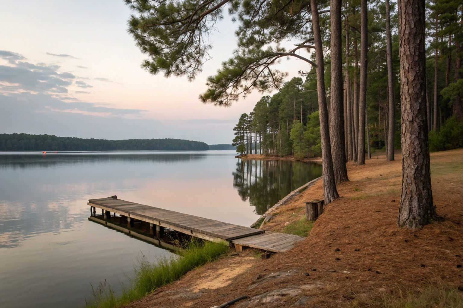 A calm lake shoreline with pines and a small wooden dock at dusk